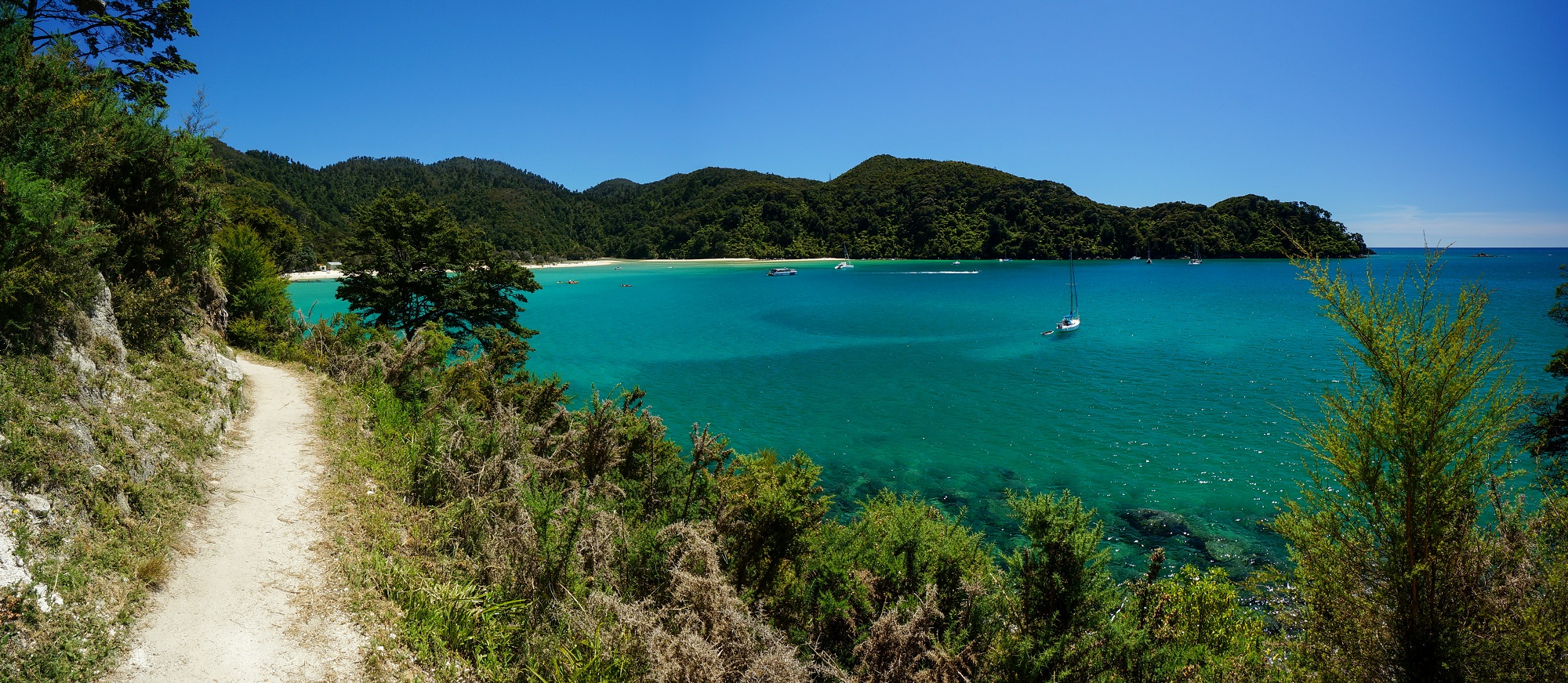 Abel Tasman Coast Track avec vue sur une baie