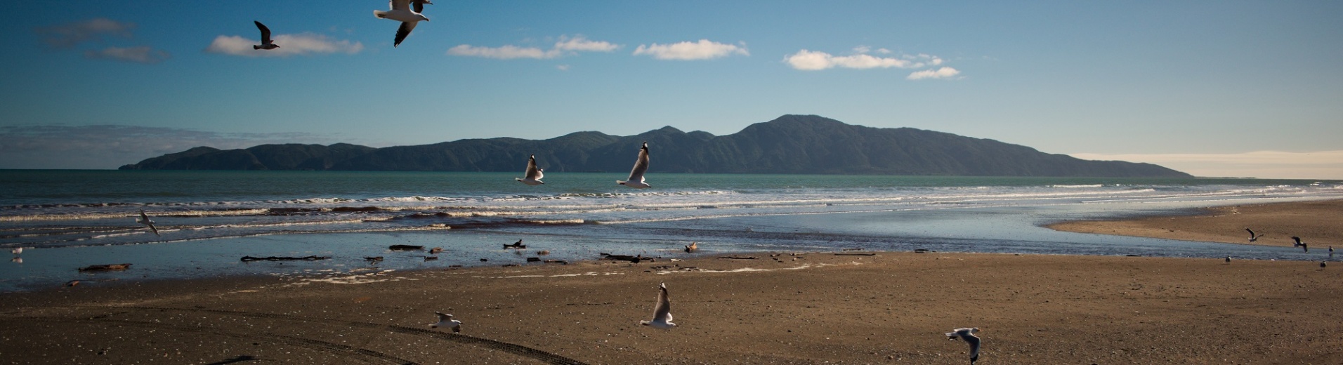 Kapiti Island depuis Raumati Beach