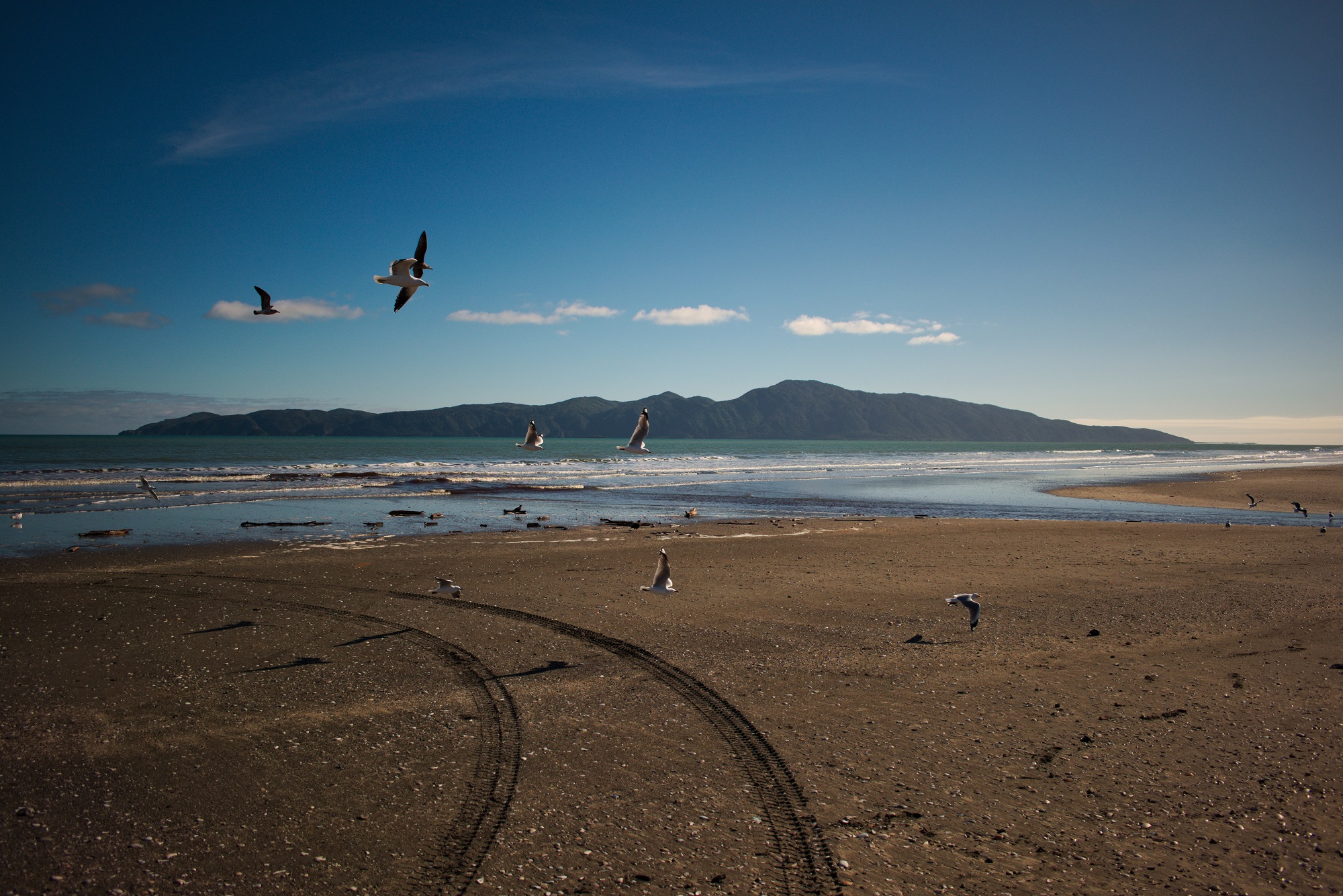 Kapiti Island depuis Raumati Beach