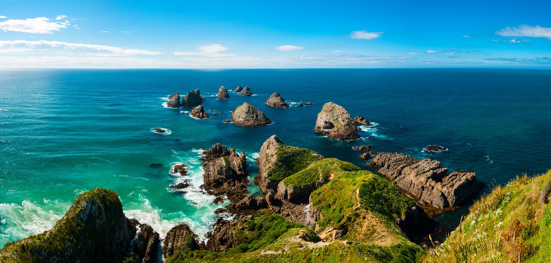 Nugget Point au sud de l'île du Sud de la Nouvelle Zélande