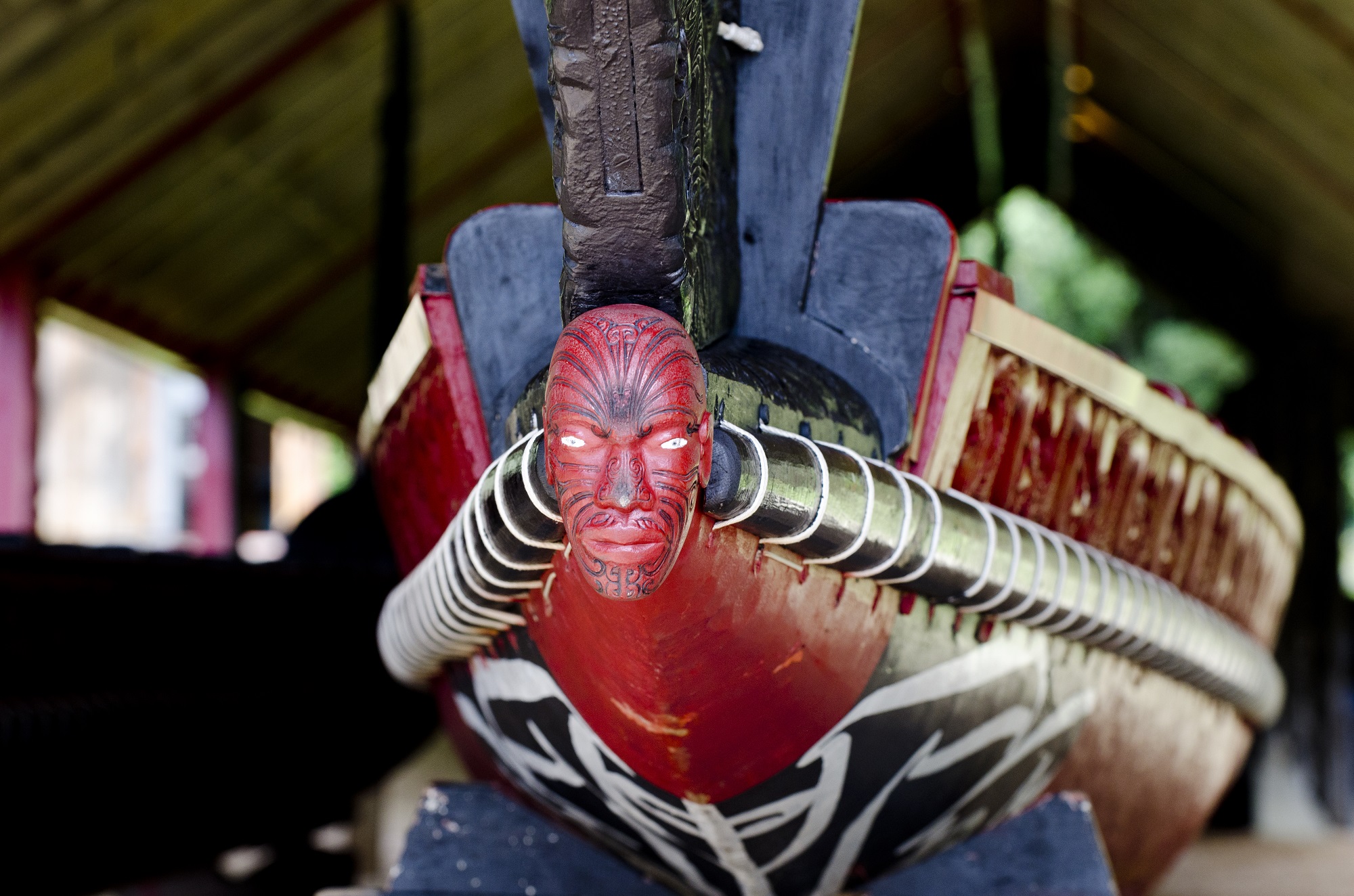Canoe maori