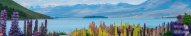 Vue panoramique sur Lake Tekapo et les lupins