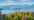 Vue panoramique sur Lake Tekapo et les lupins
