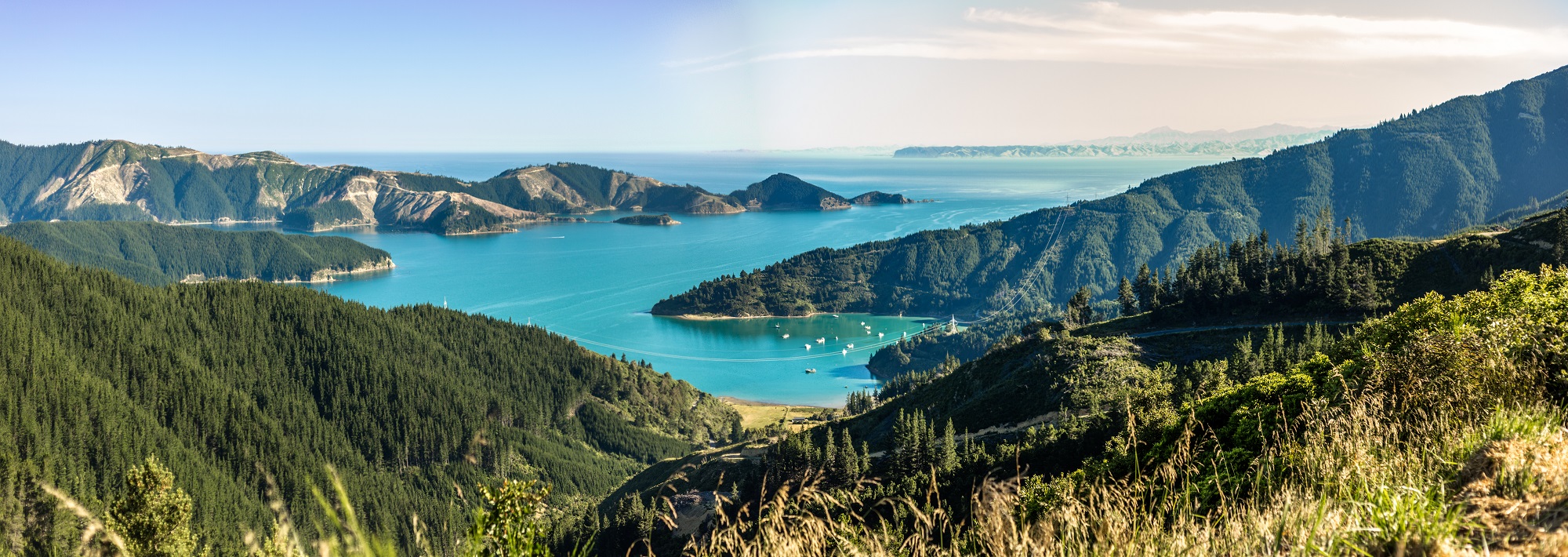 Queen Charlotte Sounds
