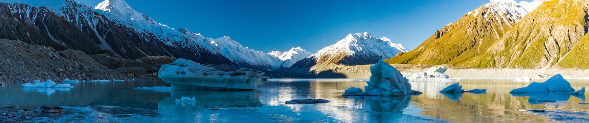 Glacier Tasman avec le Mt cook en fond