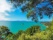 Vue sur la mer depuis Abel Tasman