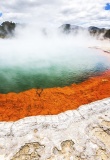 Lac thermal de Waiotapu