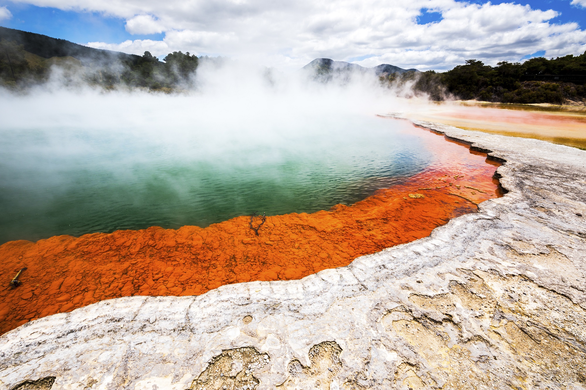 Lac thermal de Waiotapu