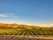Vignobles de Waipara au Nord de la région du Canterbury