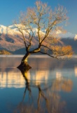 Lake Wanakapa aux couleurs de l'automne