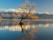 Lake Wanakapa aux couleurs de l'automne