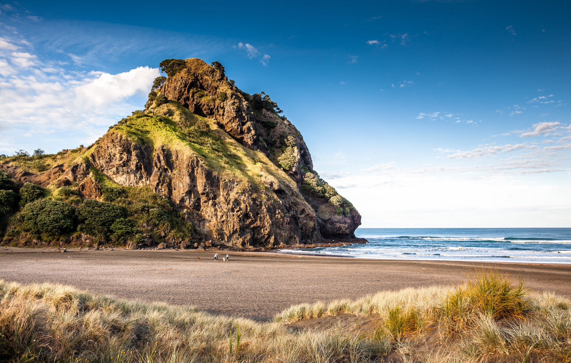 piha-plage-nouvelle-zelande